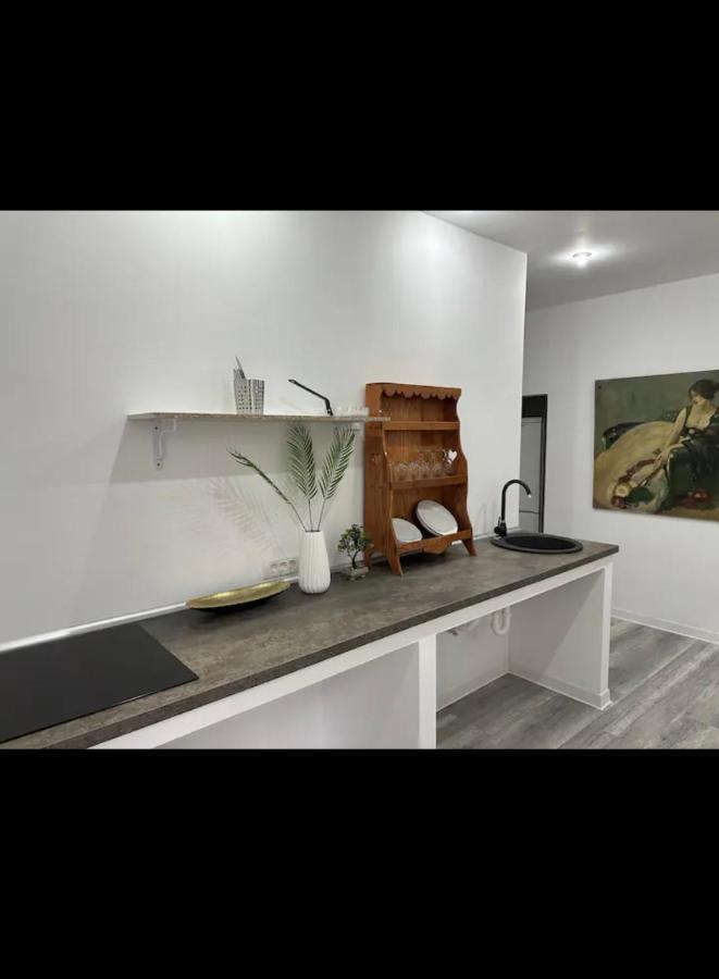 Piata Libertatii Apartament 1 Room Τιμισοάρα Εξωτερικό φωτογραφία