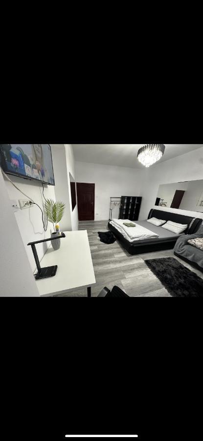 Piata Libertatii Apartament 1 Room Τιμισοάρα Εξωτερικό φωτογραφία