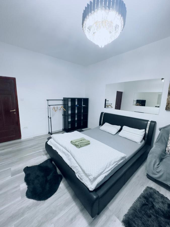 Piata Libertatii Apartament 1 Room Τιμισοάρα Εξωτερικό φωτογραφία